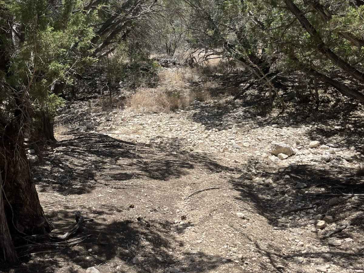 Turn-a-round Trail - V21 photo 4