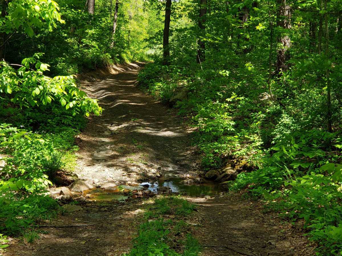 Little North Mountain WMA photo 4