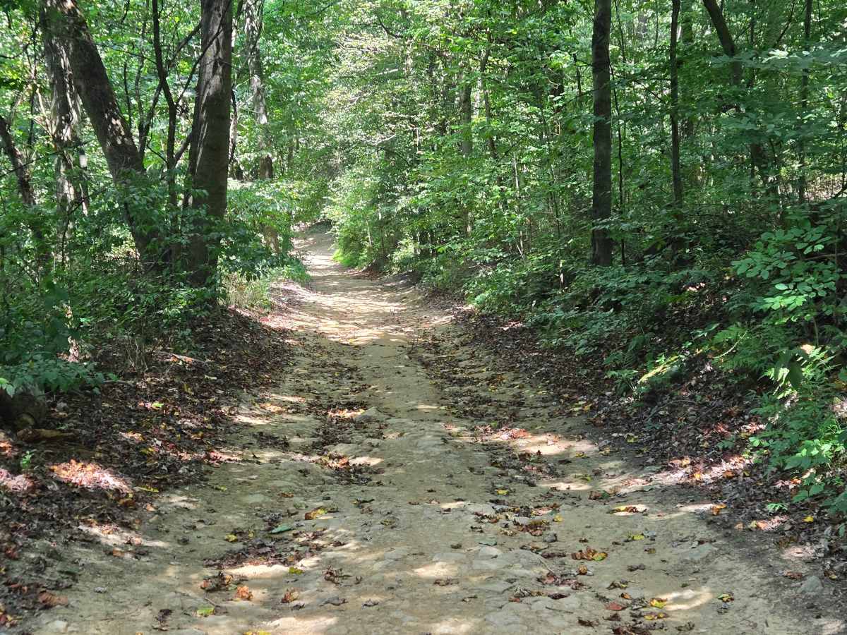 Trail 7 photo 2