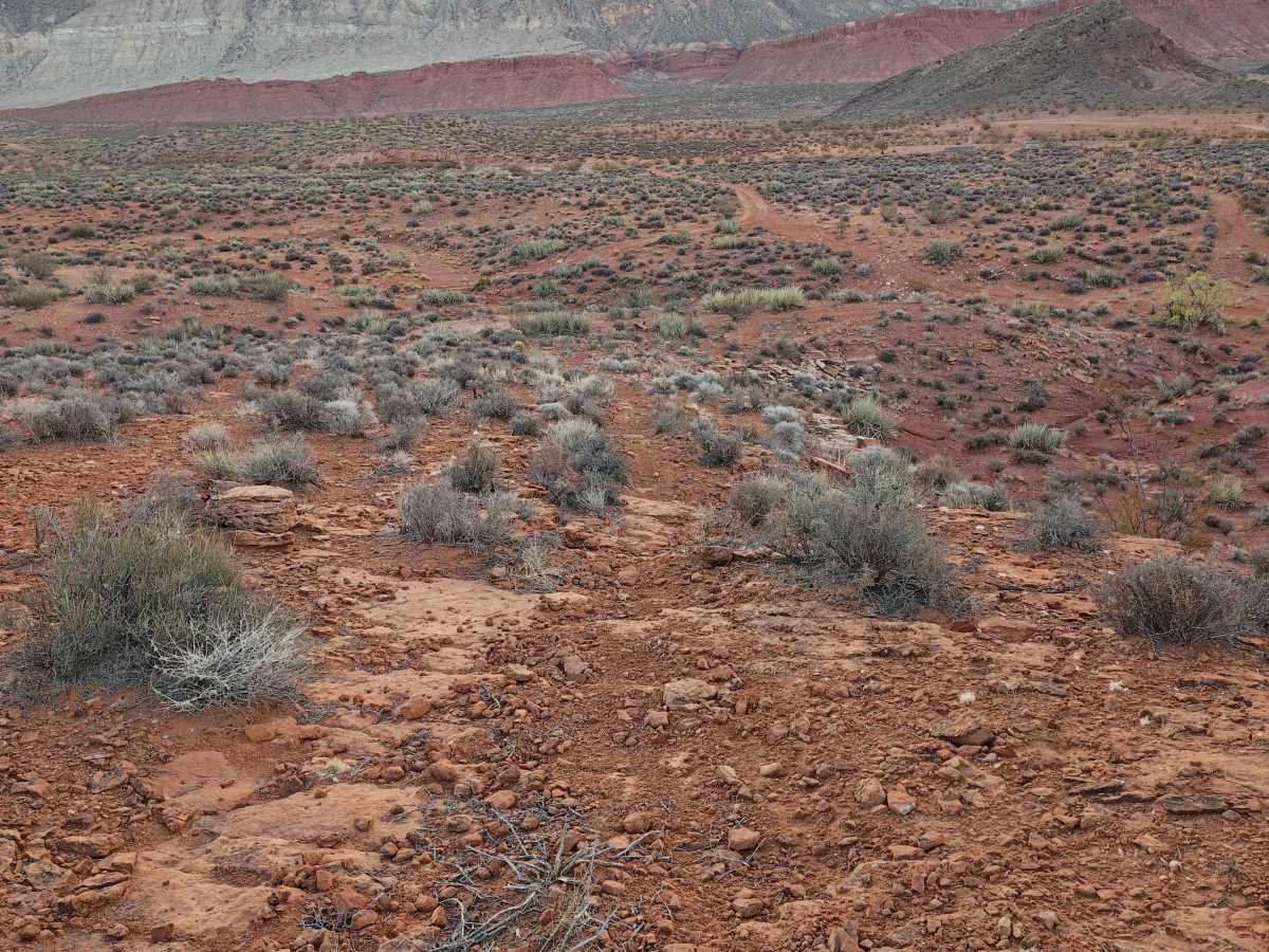 East Rim Little Red - Single Track photo 6