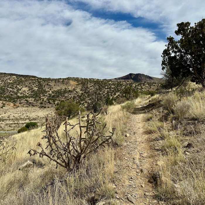 Near CDT: New Mexico Section 21