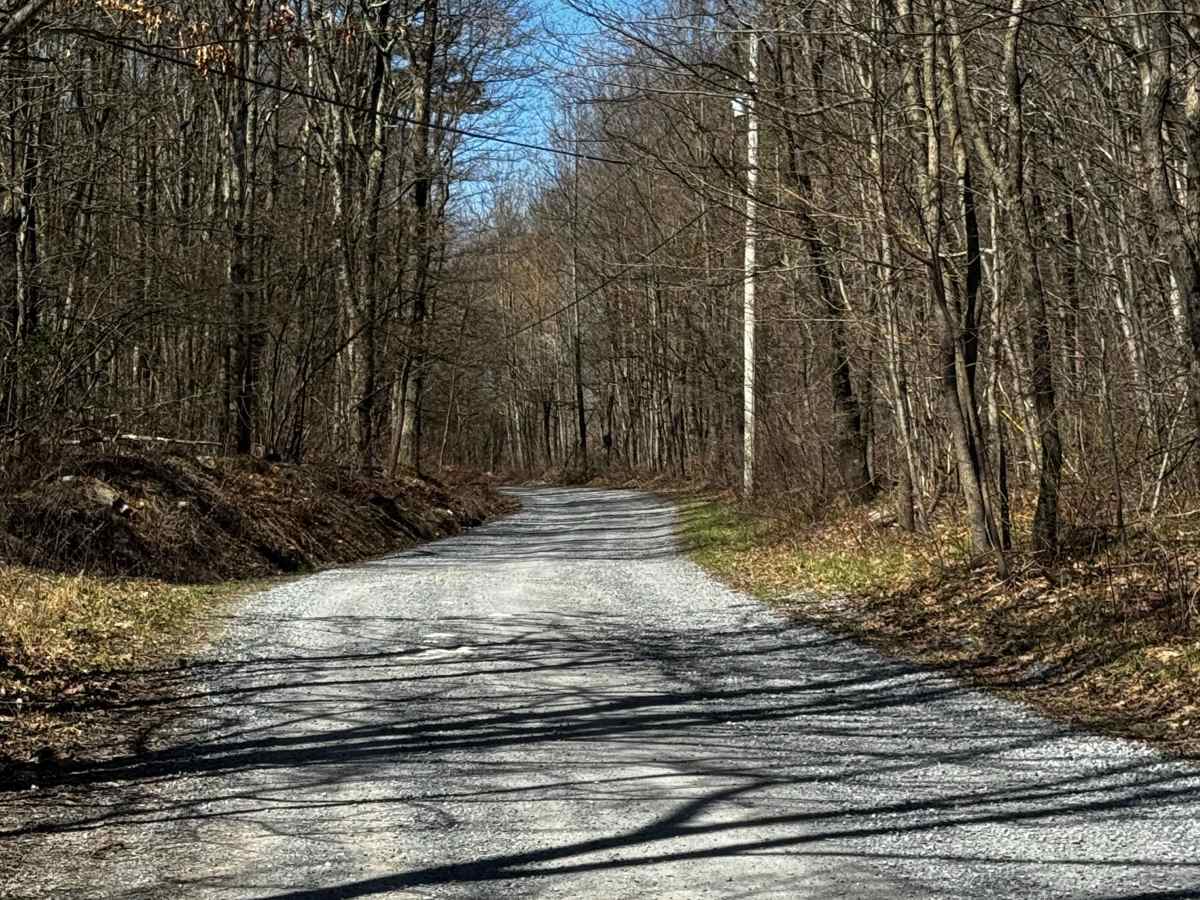 McClosky Road photo 2