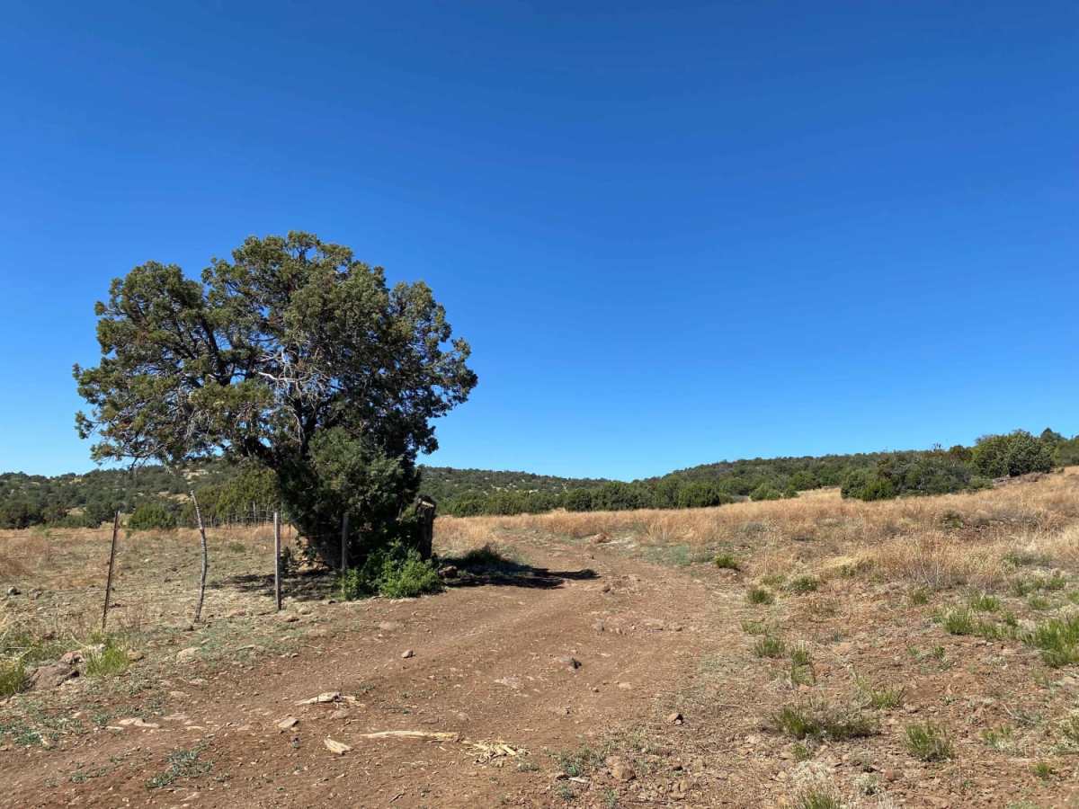 Twin Buttes Hiking Trail photo 6