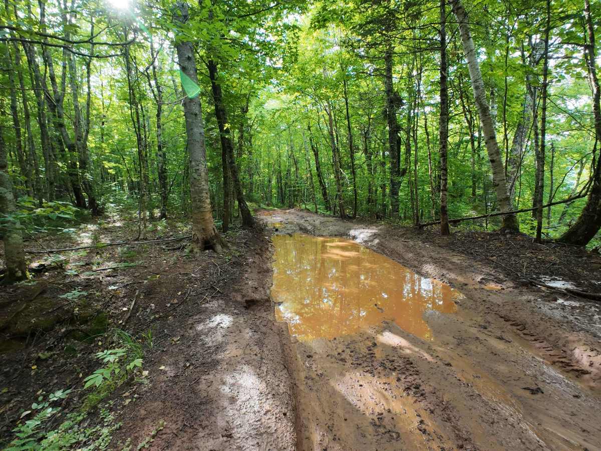 Mud Hill trail photo