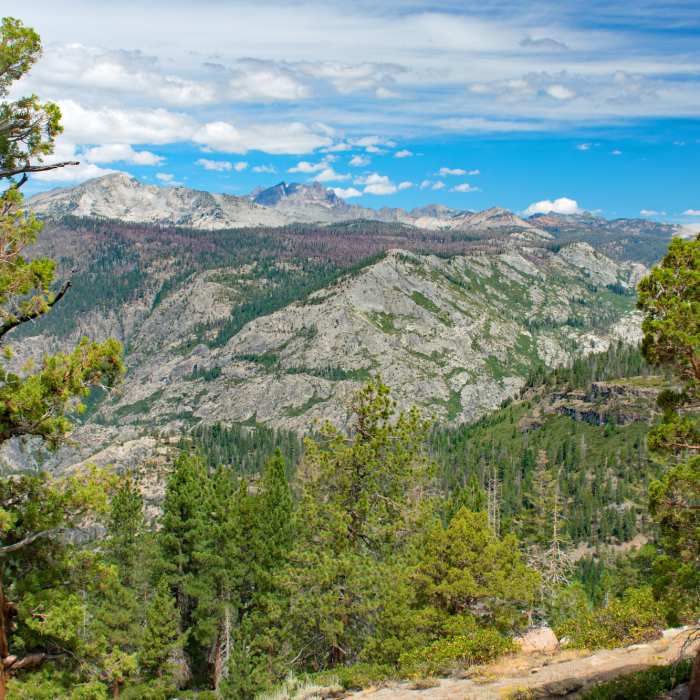 Near Silver Creek Trail 27E63