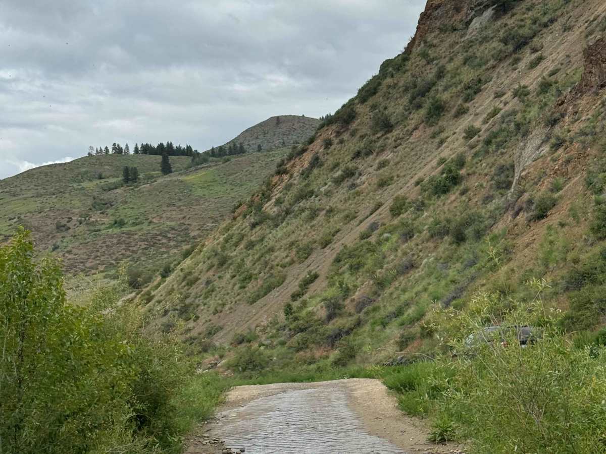 Washout Road - FS 5009-300  photo 2