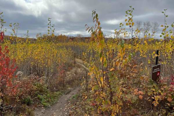 Paul's Narrow Thicket Bike Path