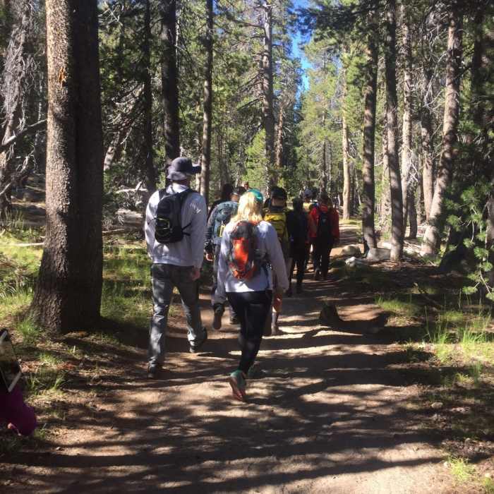 Near Tenaya Lake Trail