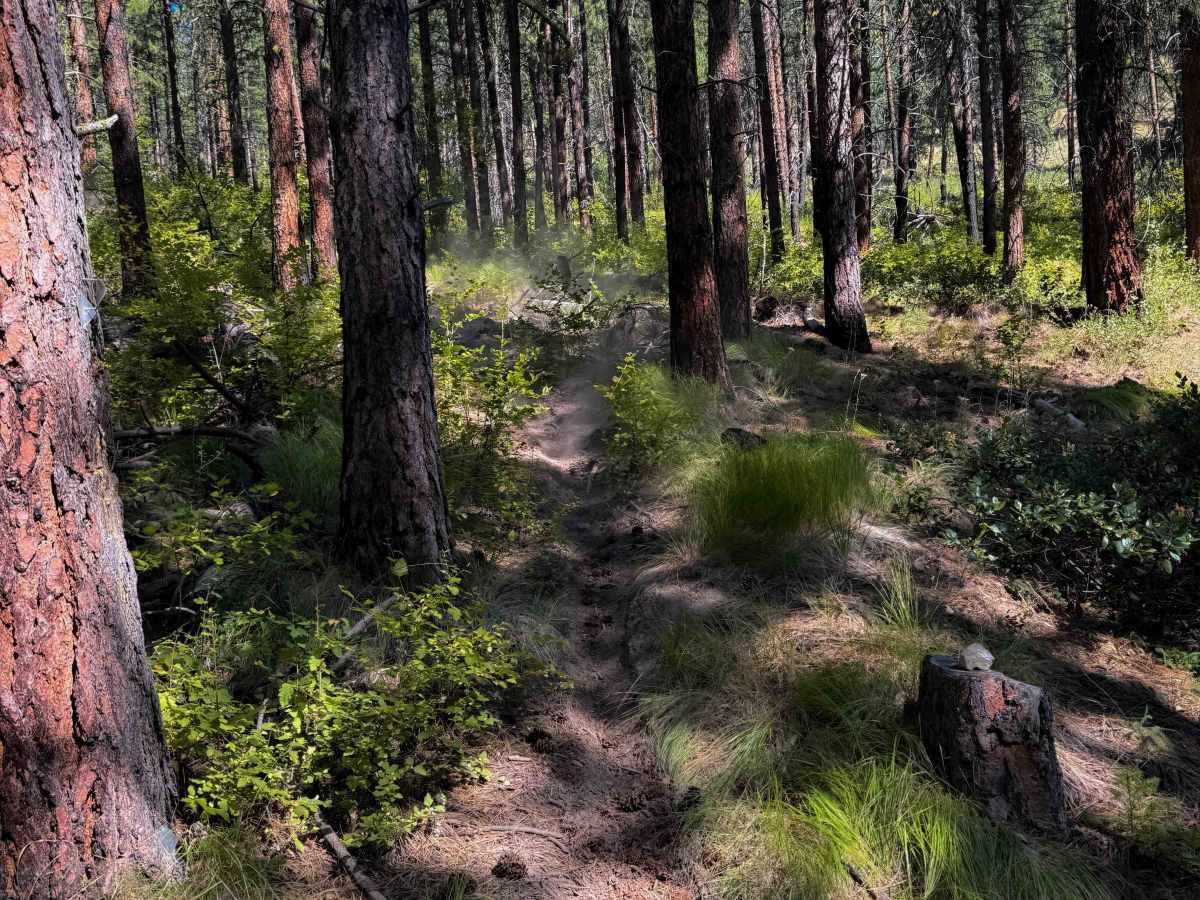 Pasayten Drive - 405  photo 5
