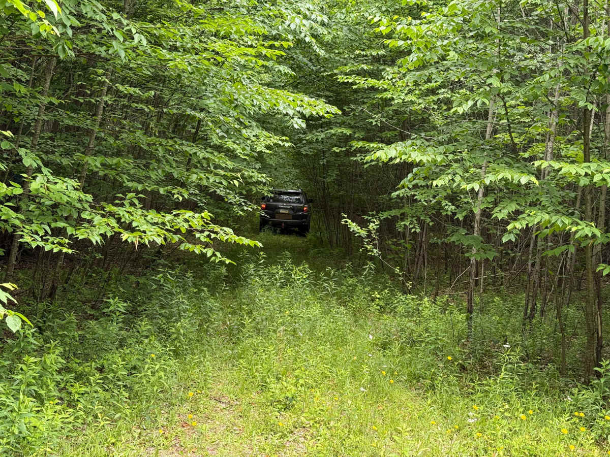 Barker Trail photo 2