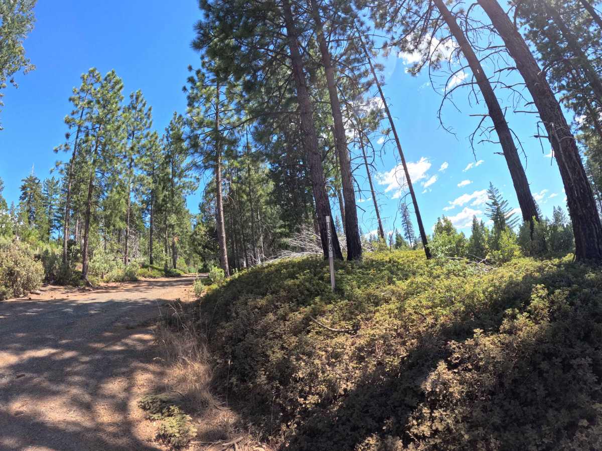 FS 1S76 trail photo