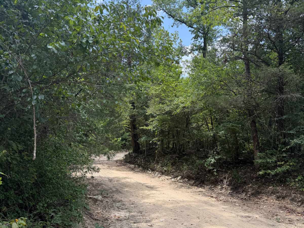 Perry Creek photo 5