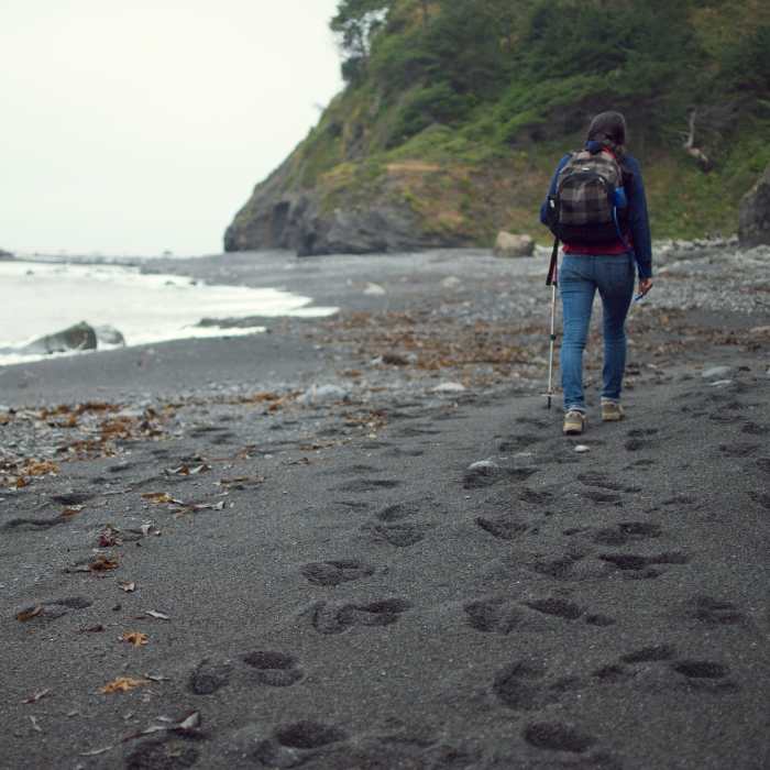Near Lost Coast Trail: North (Mattole - Black Sands Beach)