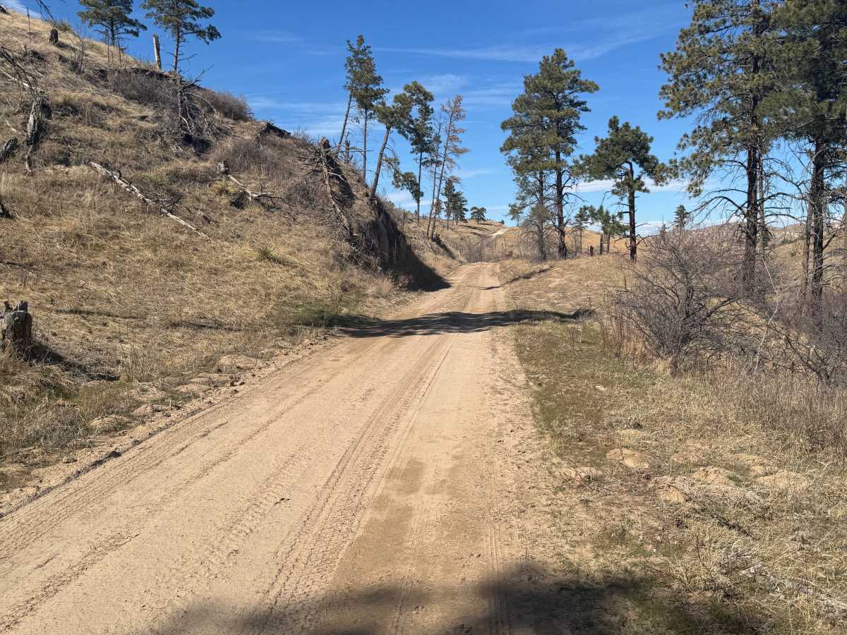 Kings Canyon Trail photo 5