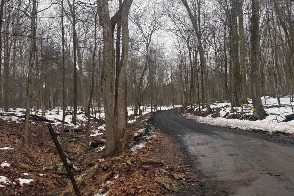 Mount Airy Road 