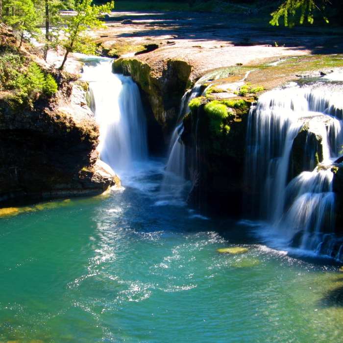 Near Lewis River Trail #31