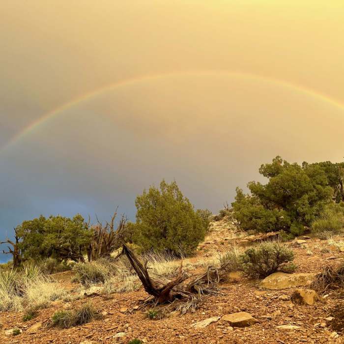 Near Hayduke Trail: Section 7