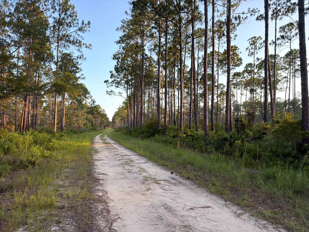 Camp 48 Trail photo 3