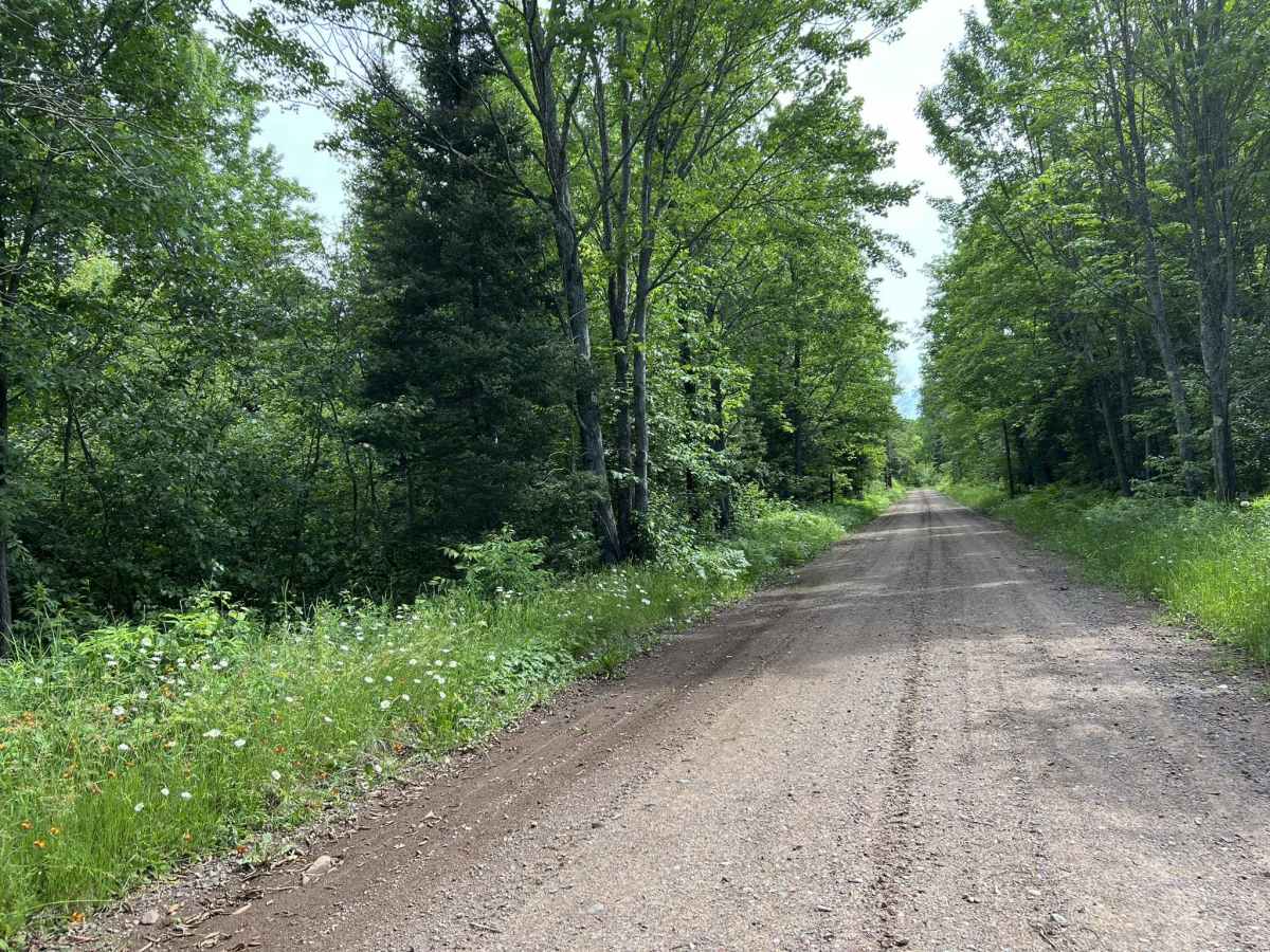 Swanson Road photo 2
