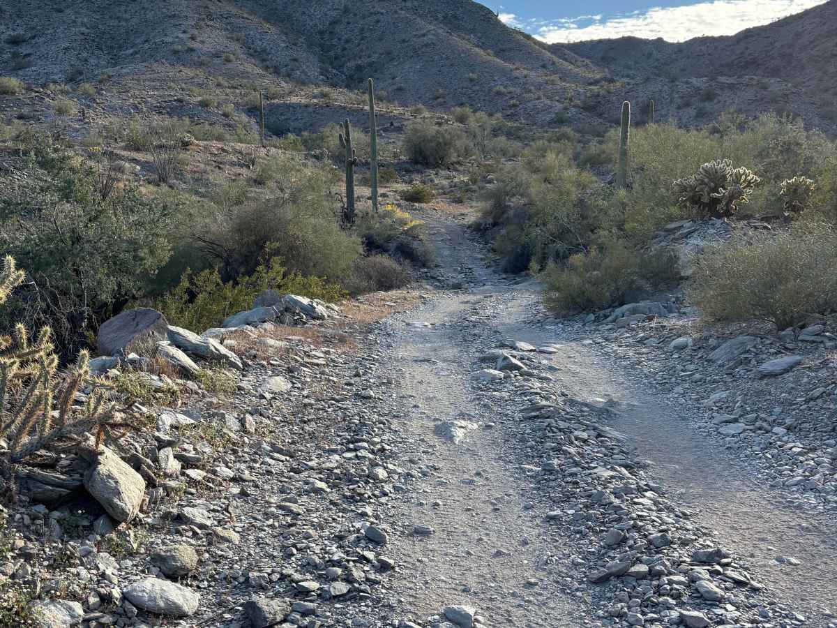KOFA View photo 4