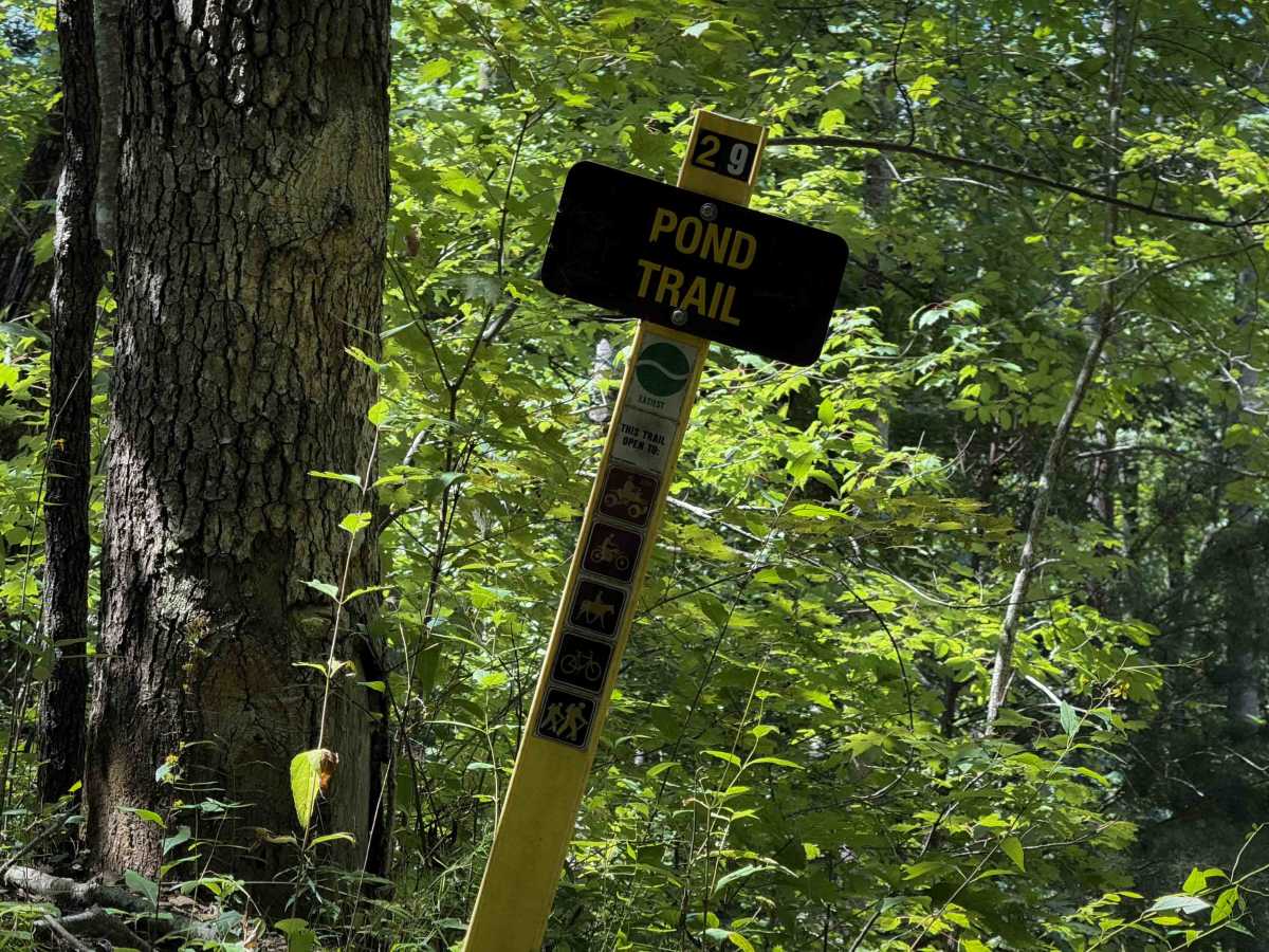 Pond Trail 29  photo 5