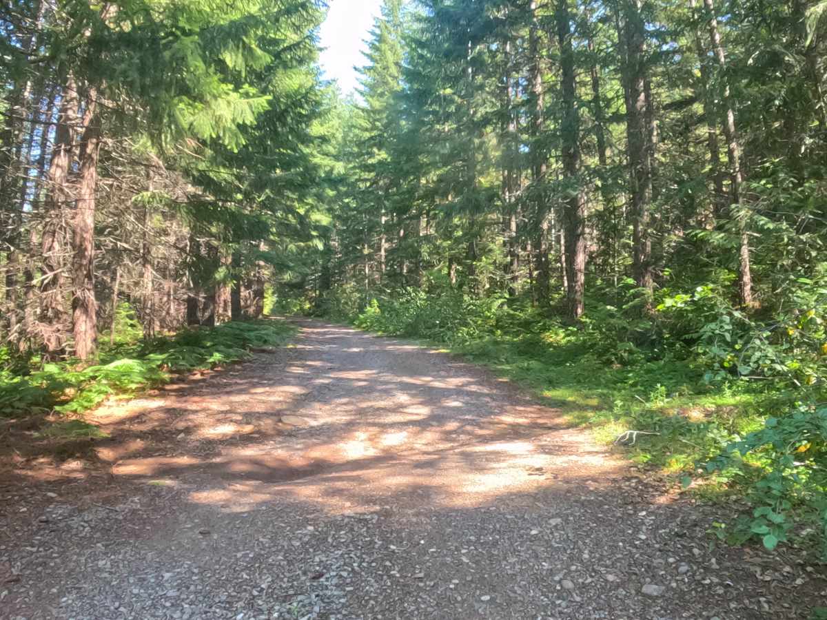 Presley Lake - FS 2257515 photo 3