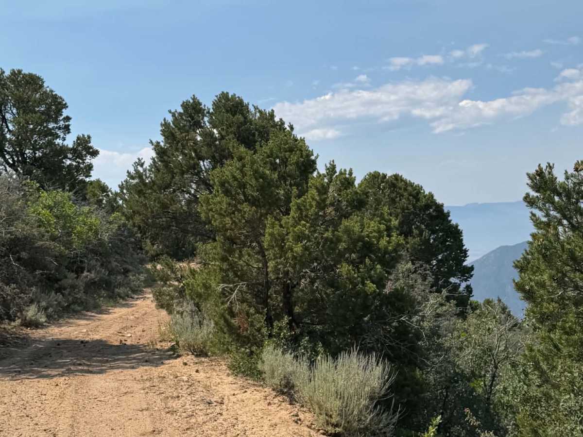 Cedar Mountain West photo 3