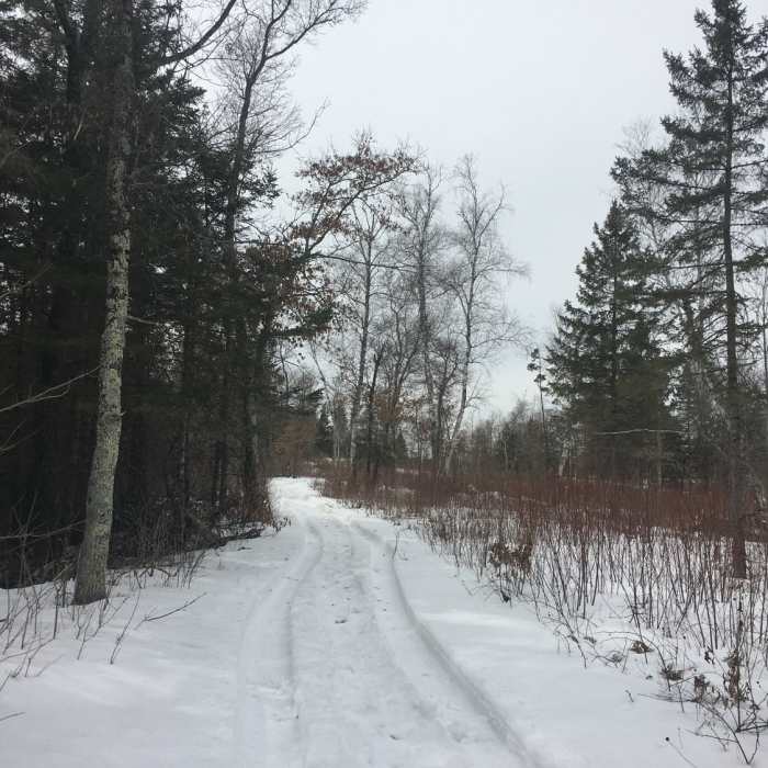Near Bike Path