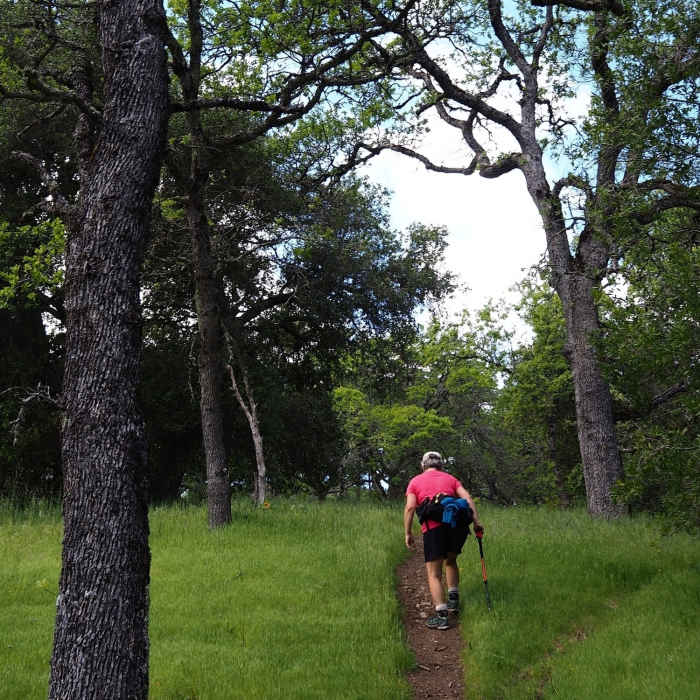 Climbing up the Willson Peak Trail Near Grizzly Gulch Trail