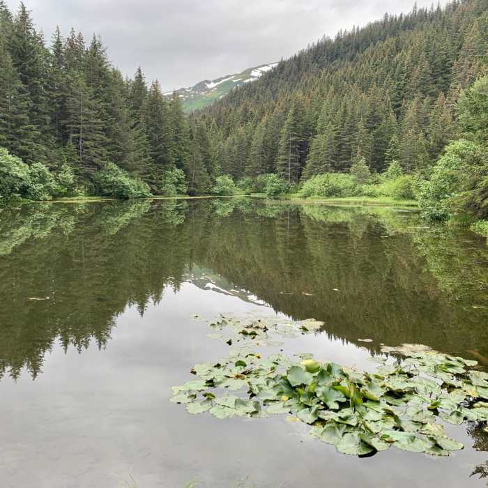 Near Two Lakes Loop Near Two Lakes Loop