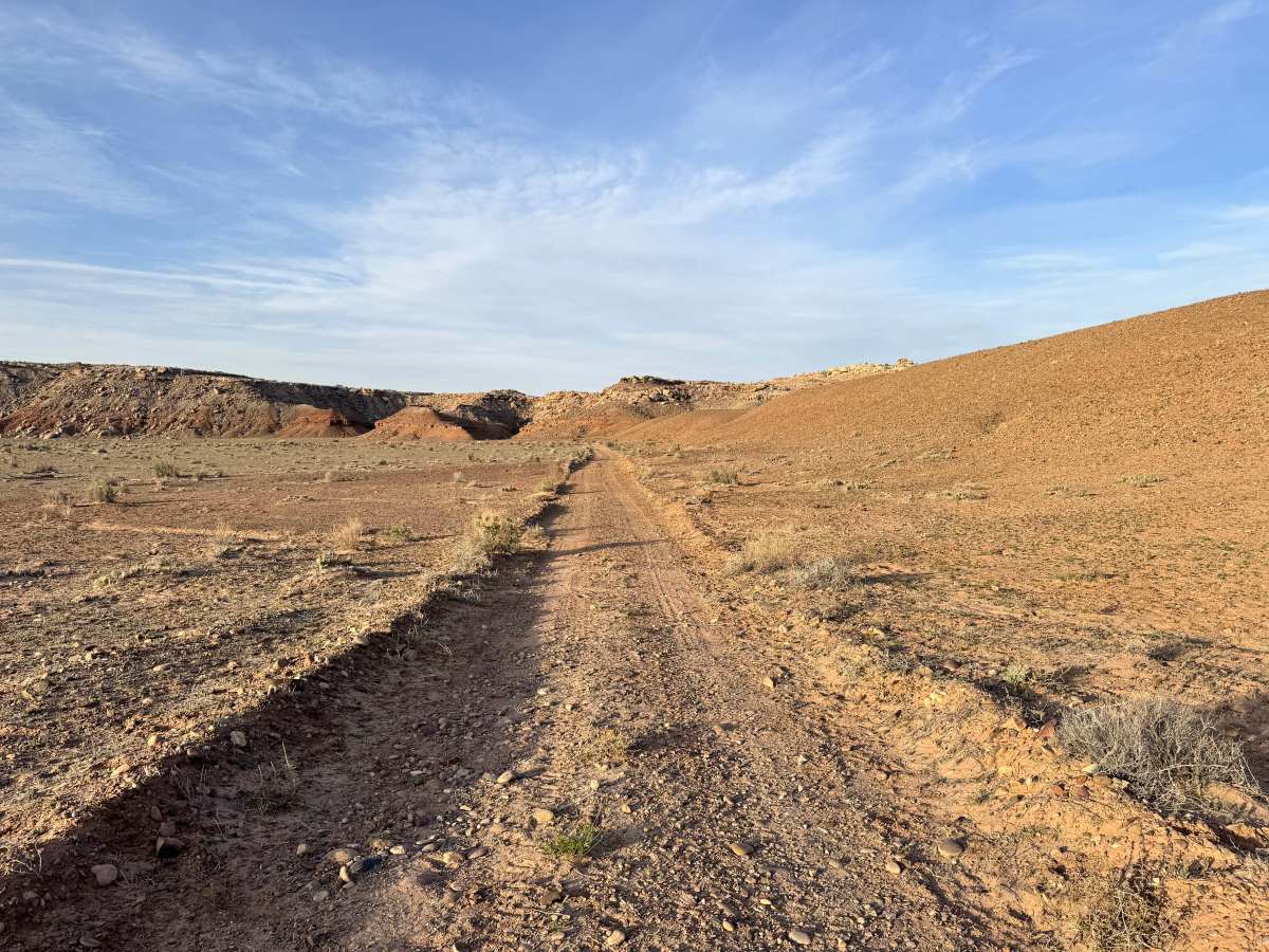 Fossil Point photo 4