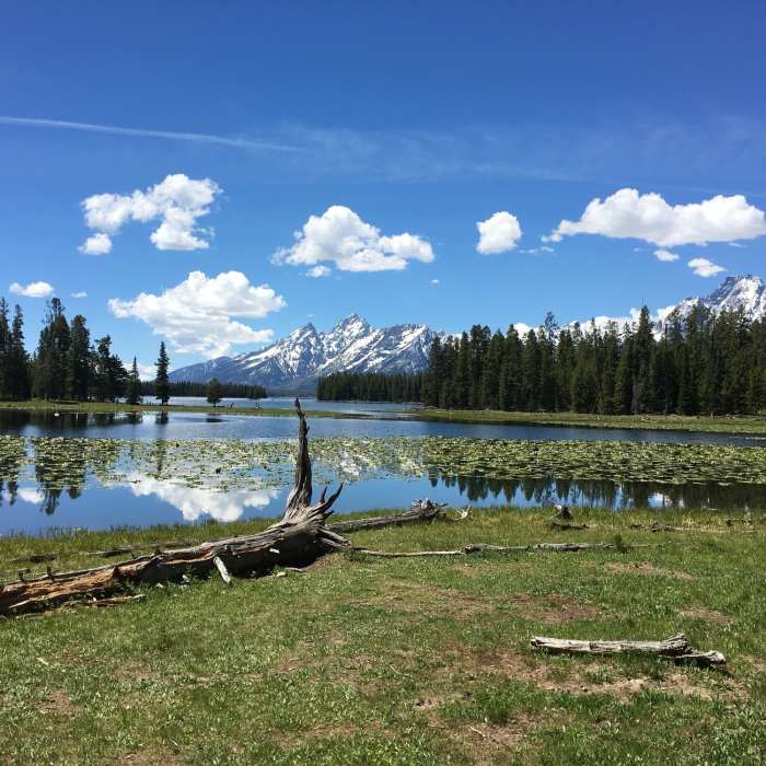 Near Hermitage Point Trail