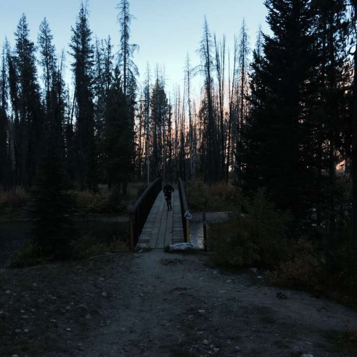 Near Loon Lake Trail