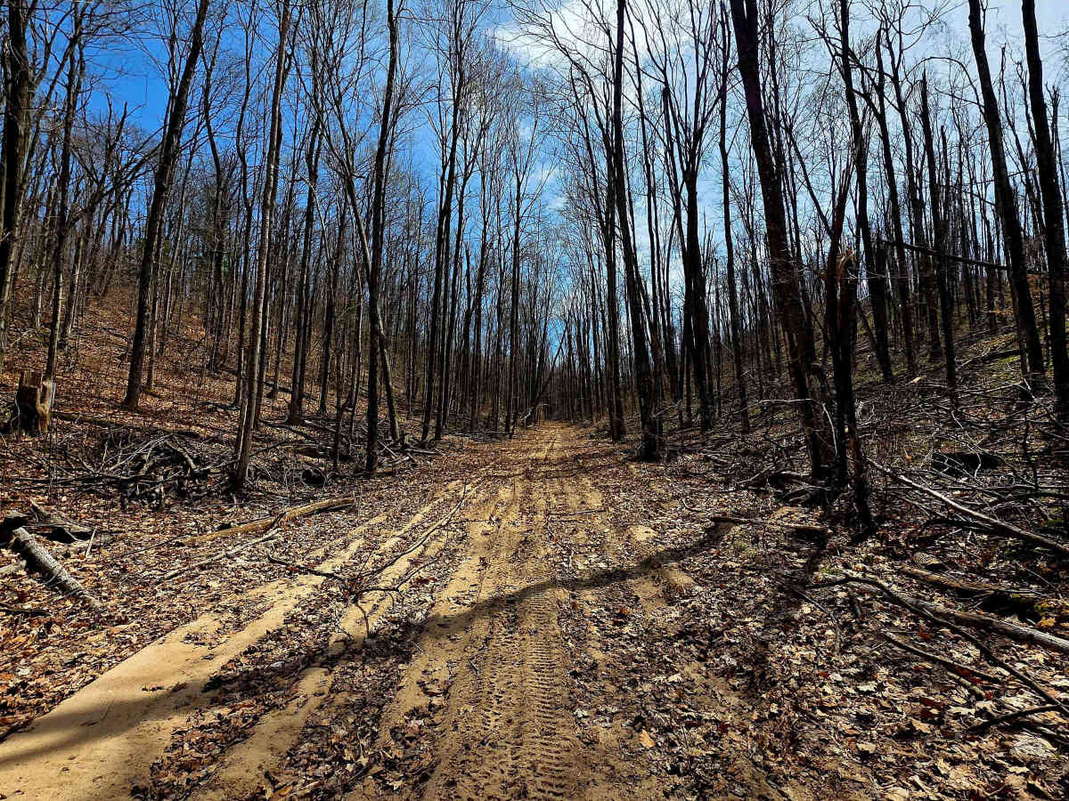 Great Lakes Road trail photo
