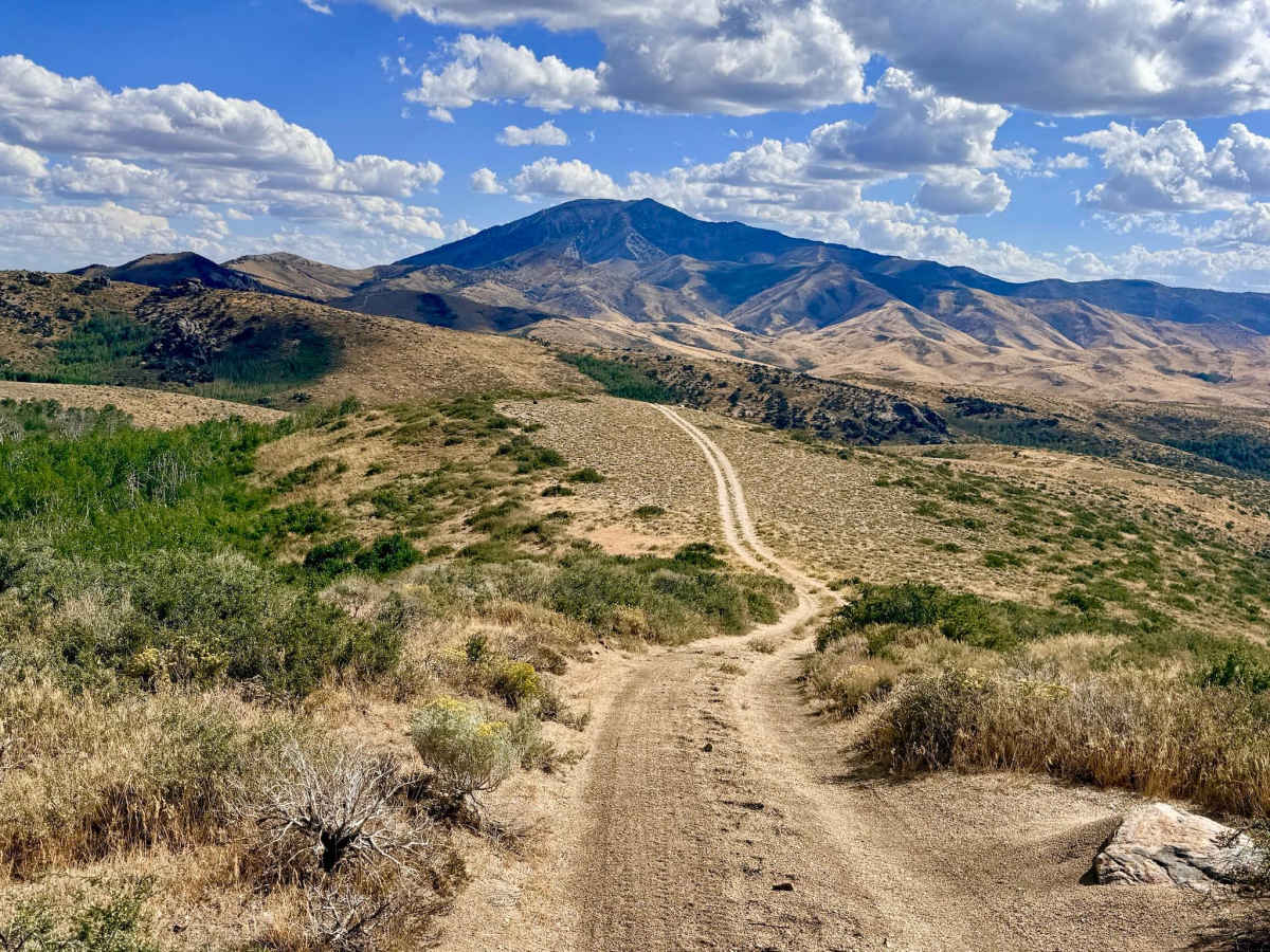  Arizona Spring - FS 57107A trail photo