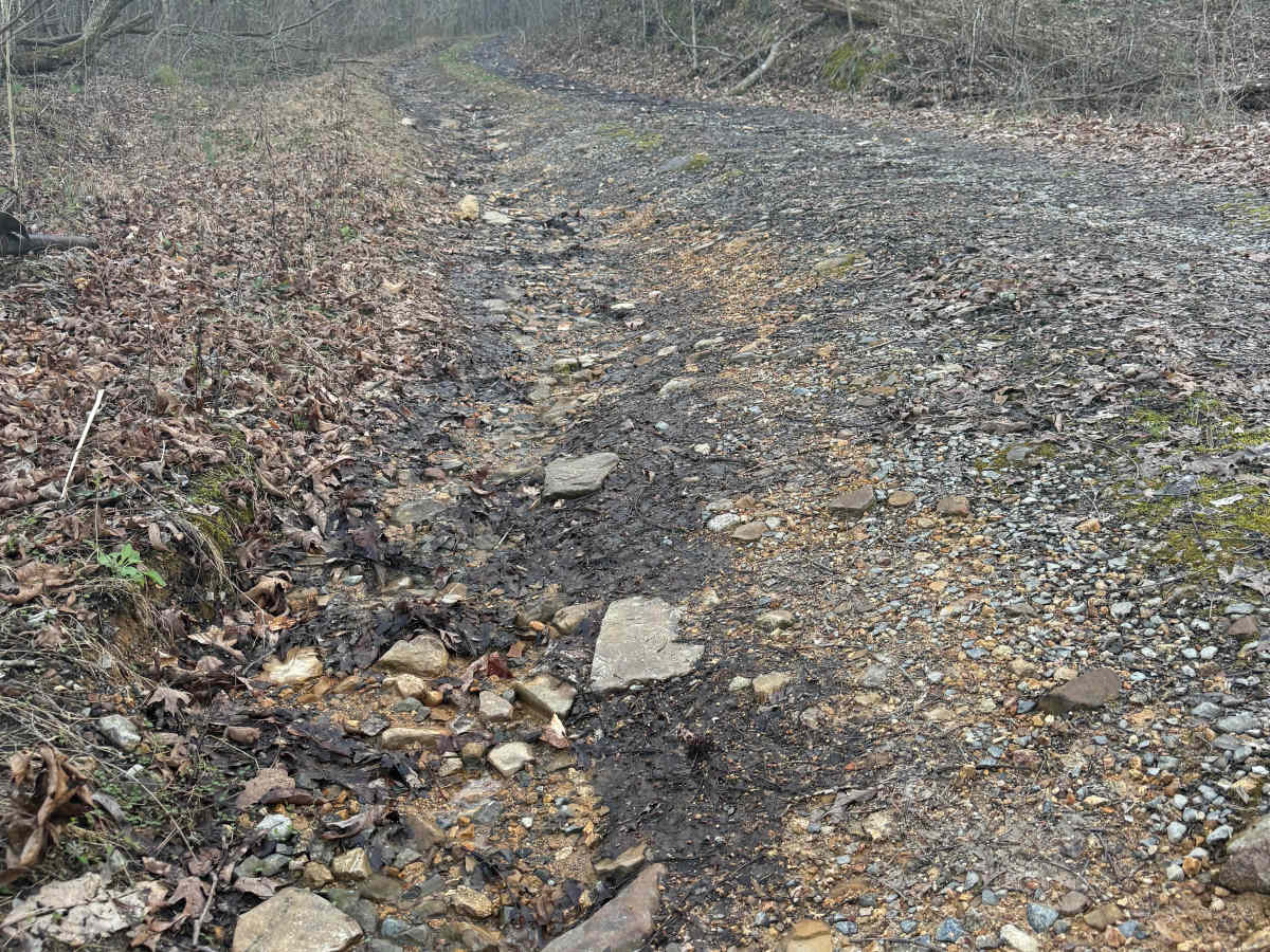 Stover Creek Ridge - FS 207A trail photo