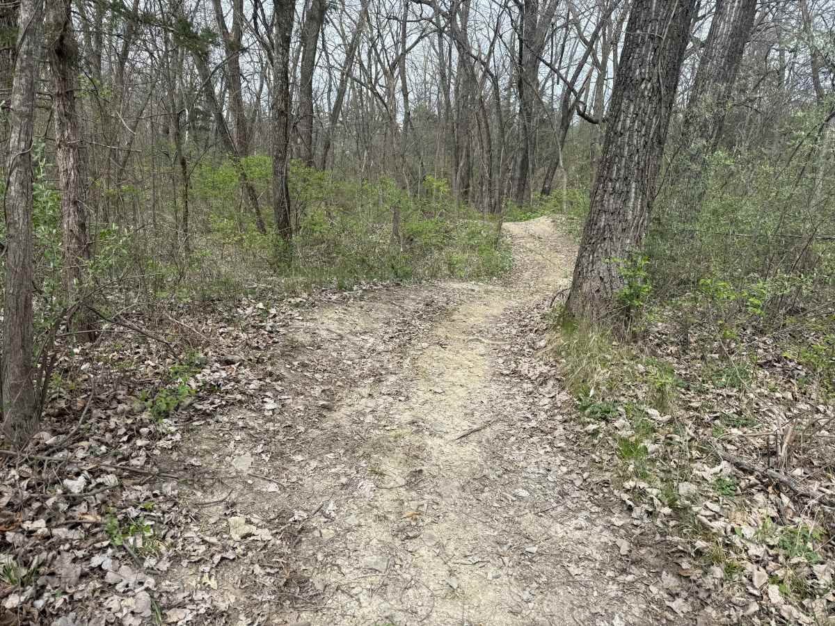 Hillclimb Trail  photo 5