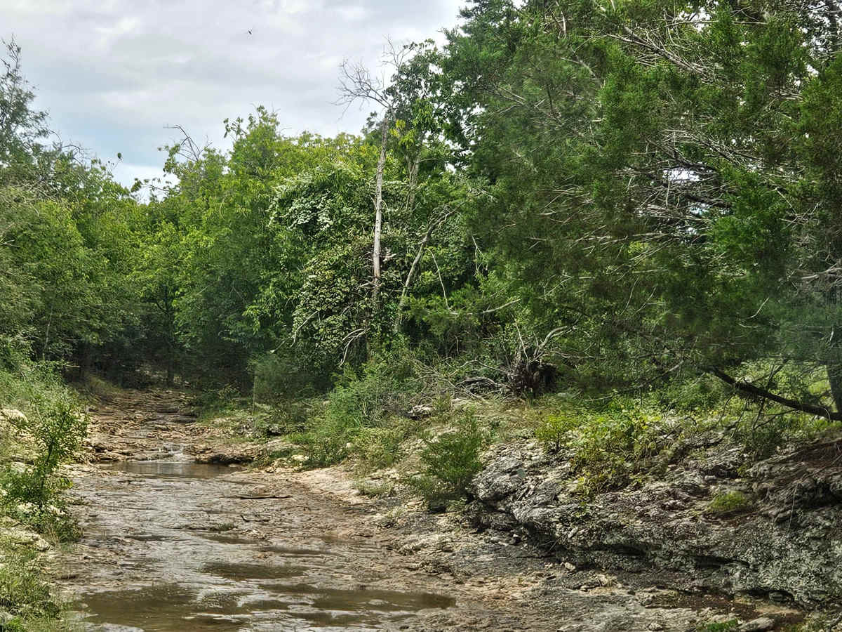 Captain Call Creek photo 5