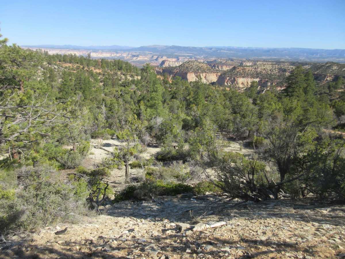 Elephant Gap - Poverty Gulch Overlook photo 2