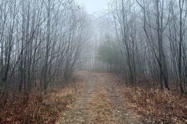 OHV 16 - Rock Run Recreation Area