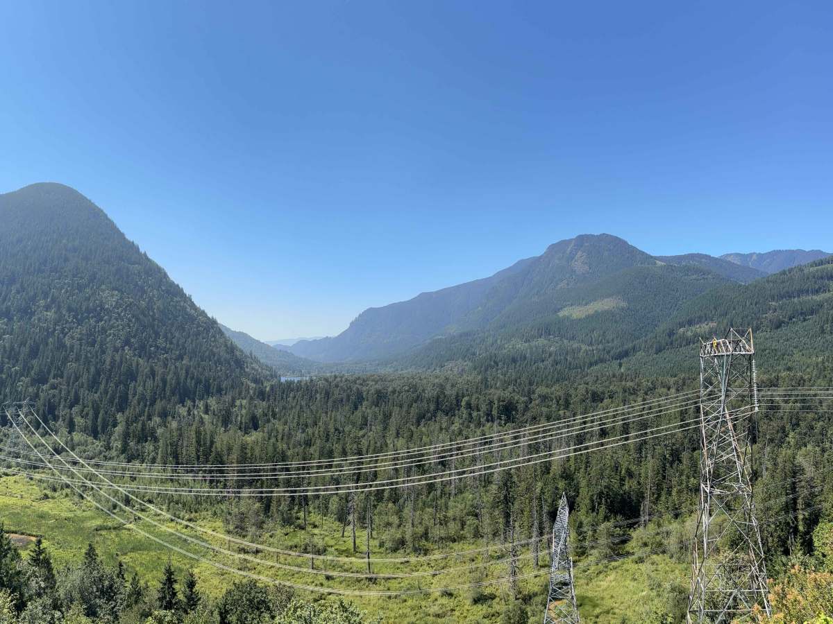 Deer Lake Viewpoint photo 5