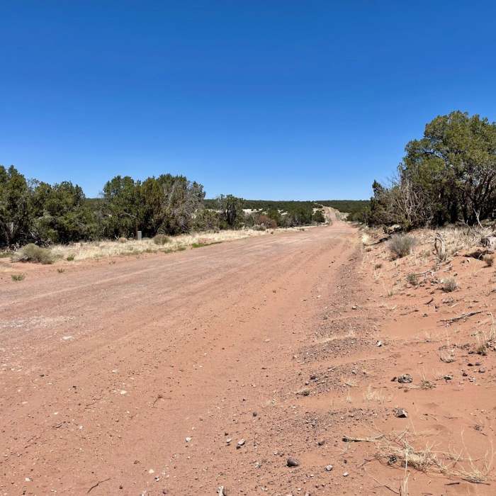 Near Continental Divide Trail: New Mexico Section 18