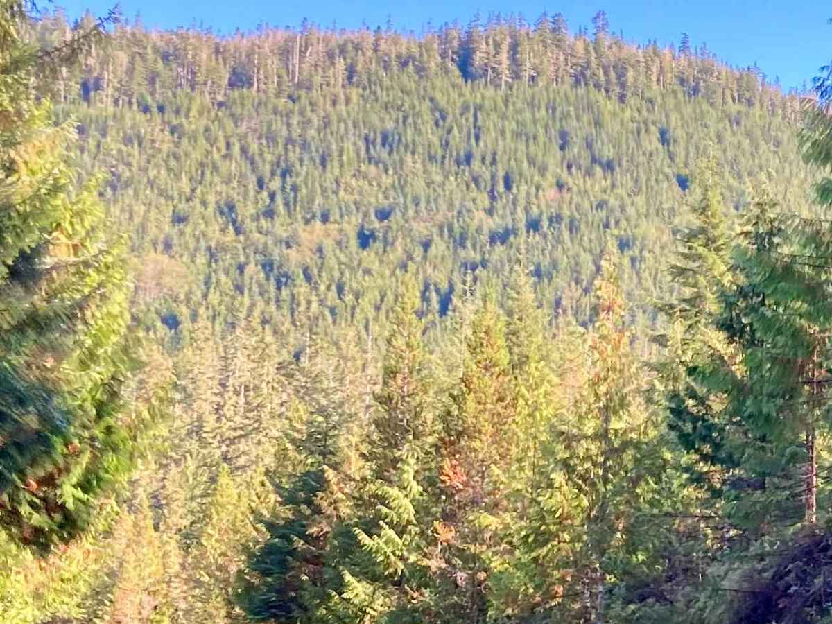 Echo Spur Road - FS 3015600 photo 2