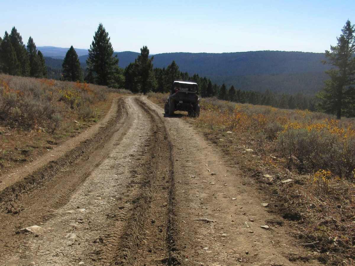 East Fork Dry Creek photo 2