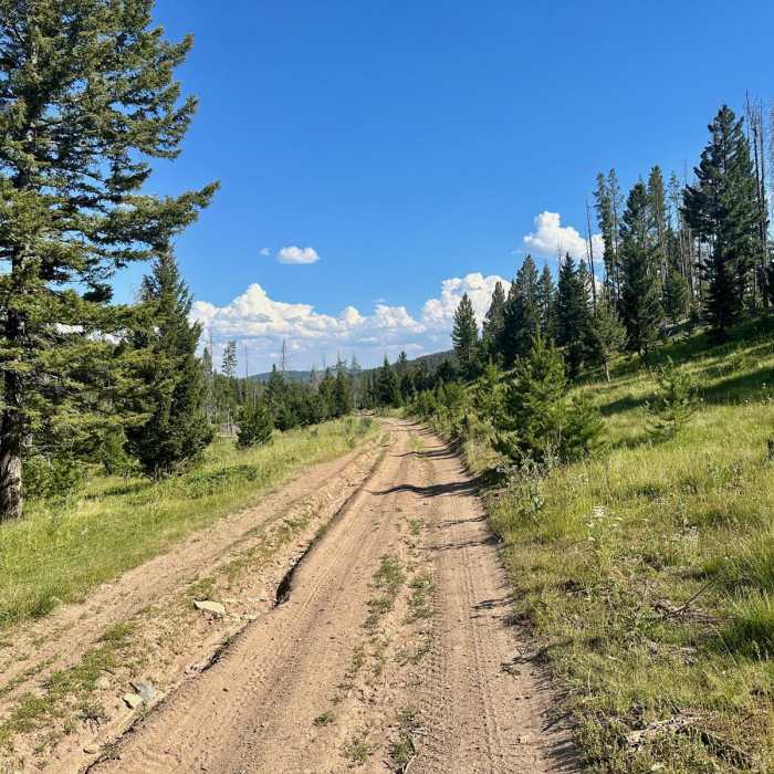 Near Continental Divide Trail: Montana-Idaho Section 20 (Ley Alternate)