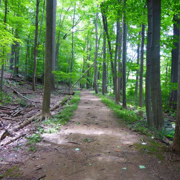 Near Cooper Gristmill to Kay's Cottage via Patriot's Path Near Cooper Gristmill to Kay's Cottage via Patriot's Path