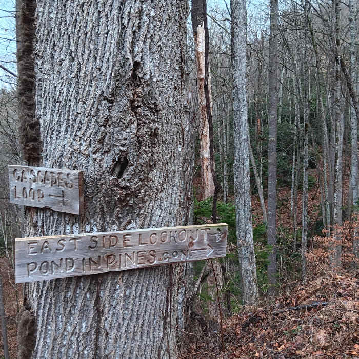 Guidance Near Full CM Gamelands Loop