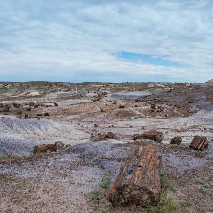 Near Crystal Forest Trail