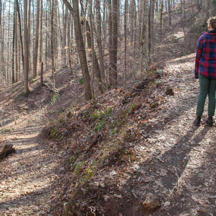 Near Looking Glass Rock Hike Near Looking Glass Rock Hike