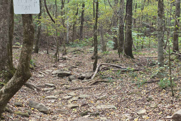 Wrong Turn